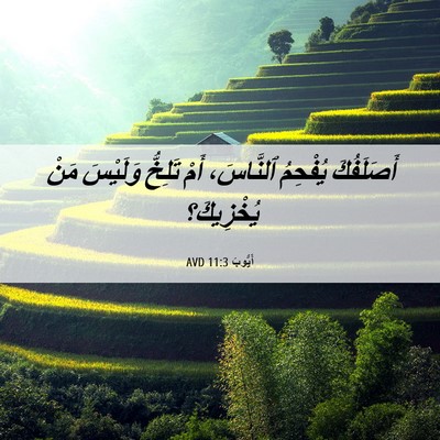 Picture 06 - أَيُّوبَ 11:3 AVD - أَصَلَفُكَ يُفْحِمُ - Bible Verse Picture