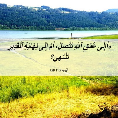 Picture 06 - أَيُّوبَ 11:7 AVD - «أَإِلَى عُمْقِ ٱللهِ - Bible Verse Picture