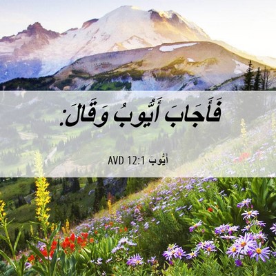 Picture 06 - أَيُّوبَ 12:1 AVD - فَأَجَابَ أَيُّوبُ - Bible Verse Picture