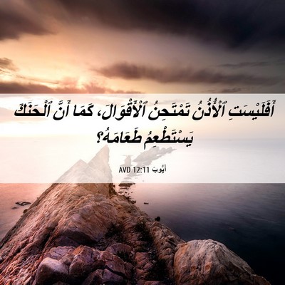 Picture 06 - أَيُّوبَ 12:11 AVD - أَفَلَيْسَتِ ٱلْأُذُنُ - Bible Verse Picture