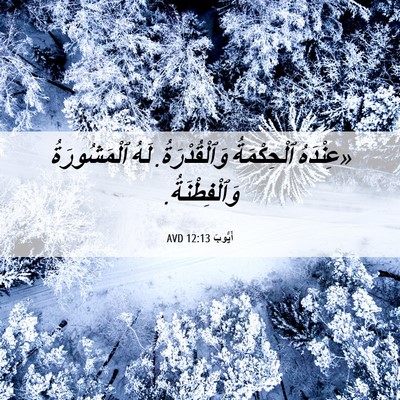 Picture 06 - أَيُّوبَ 12:13 AVD - «عِنْدَهُ ٱلْحِكْمَةُ - Bible Verse Picture