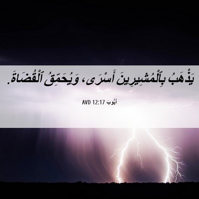 Picture 06 - أَيُّوبَ 12:17 AVD - يَذْهَبُ بِٱلْمُشِيرِينَ - Bible Verse Picture