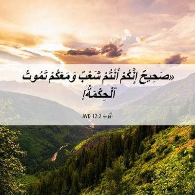 Picture 06 - أَيُّوبَ 12:2 AVD - «صَحِيحٌ إِنَّكُمْ - Bible Verse Picture