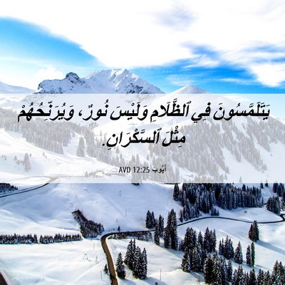 Picture 06 - أَيُّوبَ 12:25 AVD - يَتَلَمَّسُونَ فِي - Bible Verse Picture