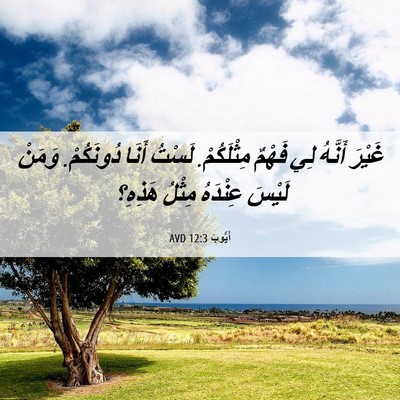 Picture 06 - أَيُّوبَ 12:3 AVD - غَيْرَ أَنَّهُ لِي فَهْمٌ - Bible Verse Picture