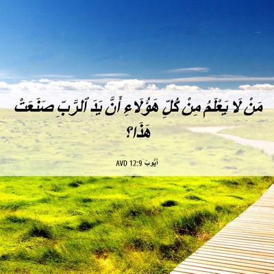 Picture 06 - أَيُّوبَ 12:9 AVD - مَنْ لَا يَعْلَمُ مِنْ - Bible Verse Picture