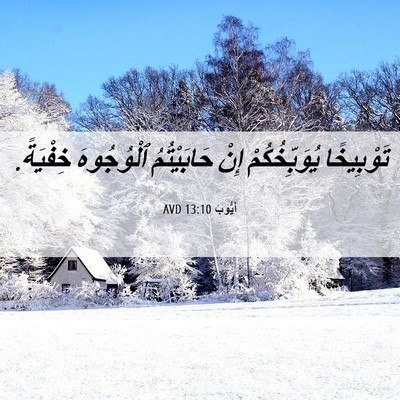 Picture 06 - أَيُّوبَ 13:10 AVD - تَوْبِيخًا يُوَبِّخُكُمْ - Bible Verse Picture