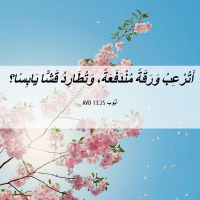 Picture 06 - أَيُّوبَ 13:25 AVD - أَتُرْعِبُ وَرَقَةً - Bible Verse Picture