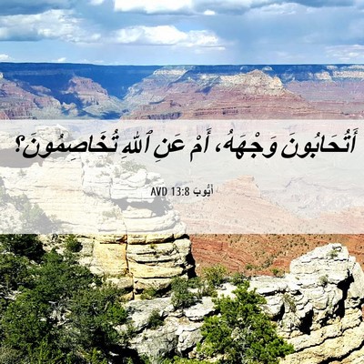 Picture 06 - أَيُّوبَ 13:8 AVD - أَتُحَابُونَ وَجْهَهُ، - Bible Verse Picture