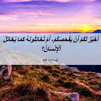 Picture 06 - أَيُّوبَ 13:9 AVD - أَخَيْرٌ لَكُمْ أَنْ - Bible Verse Picture