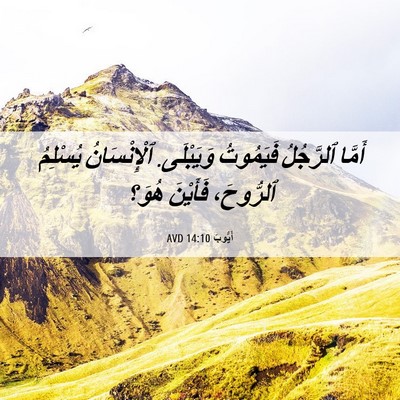 Picture 06 - أَيُّوبَ 14:10 AVD - أَمَّا ٱلرَّجُلُ - Bible Verse Picture
