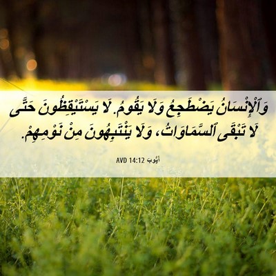 Picture 06 - أَيُّوبَ 14:12 AVD - وَٱلْإِنْسَانُ يَضْطَجِعُ - Bible Verse Picture