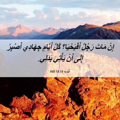 Picture 06 - أَيُّوبَ 14:14 AVD - إِنْ مَاتَ رَجُلٌ - Bible Verse Picture
