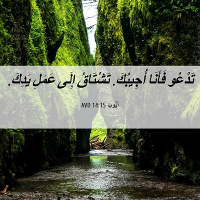 Picture 06 - أَيُّوبَ 14:15 AVD - تَدْعُو فَأَنَا أُجِيبُكَ. - Bible Verse Picture
