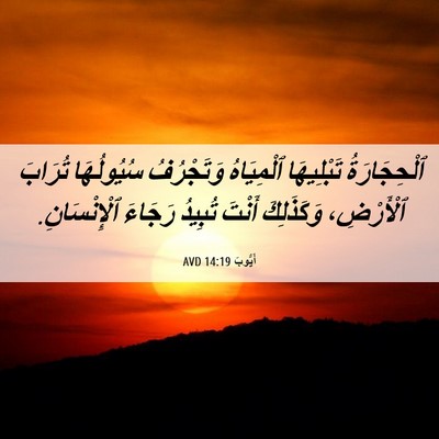 Picture 06 - أَيُّوبَ 14:19 AVD - ٱلْحِجَارَةُ تَبْلِيهَا - Bible Verse Picture