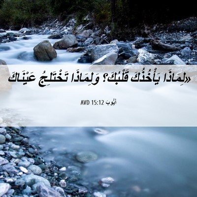 Picture 06 - أَيُّوبَ 15:12 AVD - «لِمَاذَا يَأْخُذُكَ - Bible Verse Picture