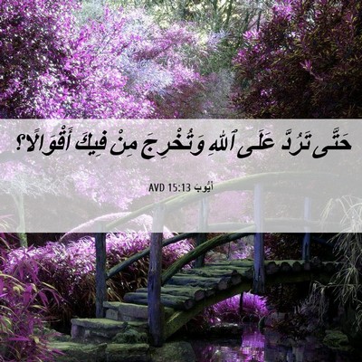 Picture 06 - أَيُّوبَ 15:13 AVD - حَتَّى تَرُدَّ عَلَى ٱللهِ - Bible Verse Picture