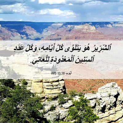 Picture 06 - أَيُّوبَ 15:20 AVD - ٱلشِّرِّيرُ هُوَ - Bible Verse Picture