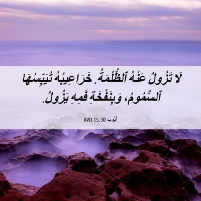 Picture 06 - أَيُّوبَ 15:30 AVD - لَا تَزُولُ عَنْهُ - Bible Verse Picture