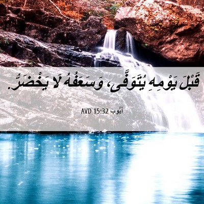 Picture 06 - أَيُّوبَ 15:32 AVD - قَبْلَ يَوْمِهِ - Bible Verse Picture