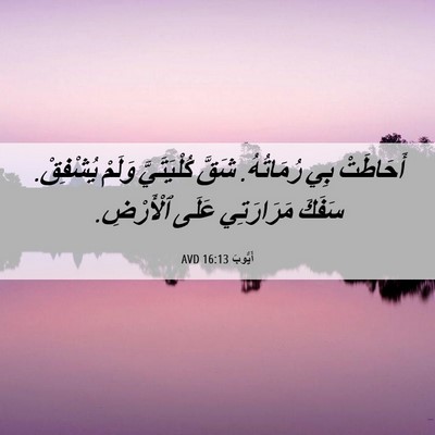Picture 06 - أَيُّوبَ 16:13 AVD - أَحَاطَتْ بِي رُمَاتُهُ. - Bible Verse Picture