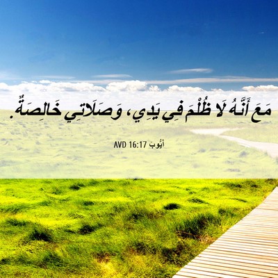Picture 06 - أَيُّوبَ 16:17 AVD - مَعَ أَنَّهُ لَا ظُلْمَ - Bible Verse Picture