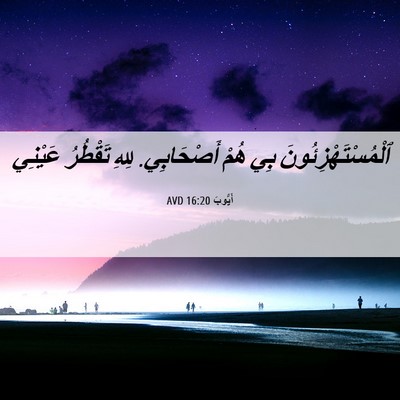 Picture 06 - أَيُّوبَ 16:20 AVD - ٱلْمُسْتَهْزِئُونَ بِي - Bible Verse Picture
