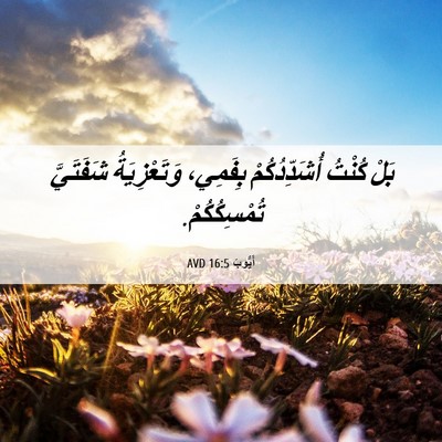 Picture 06 - أَيُّوبَ 16:5 AVD - بَلْ كُنْتُ أُشَدِّدُكُمْ - Bible Verse Picture