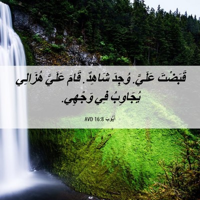 Picture 06 - أَيُّوبَ 16:8 AVD - قَبَضْتَ عَلَيَّ. وُجِدَ - Bible Verse Picture