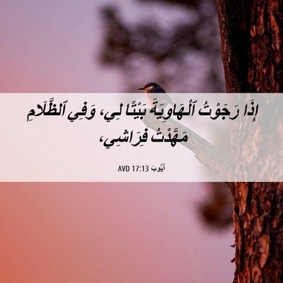 Picture 06 - أَيُّوبَ 17:13 AVD - إِذَا رَجَوْتُ - Bible Verse Picture