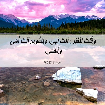 Picture 06 - أَيُّوبَ 17:14 AVD - وَقُلْتُ لِلْقَبْرِ: - Bible Verse Picture