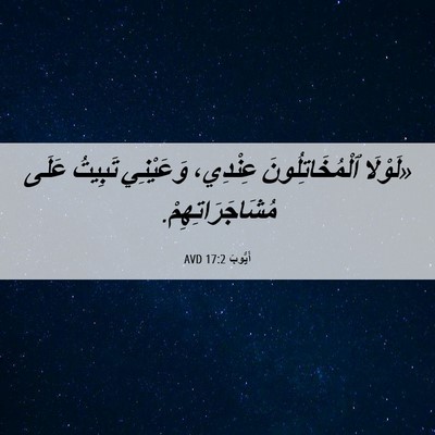 Picture 06 - أَيُّوبَ 17:2 AVD - «لَوْلَا ٱلْمُخَاتِلُونَ - Bible Verse Picture