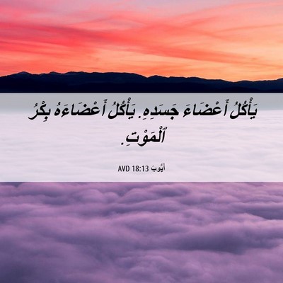 Picture 06 - أَيُّوبَ 18:13 AVD - يَأْكُلُ أَعْضَاءَ - Bible Verse Picture