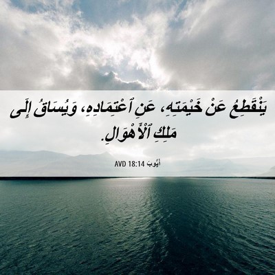 Picture 06 - أَيُّوبَ 18:14 AVD - يَنْقَطِعُ عَنْ - Bible Verse Picture