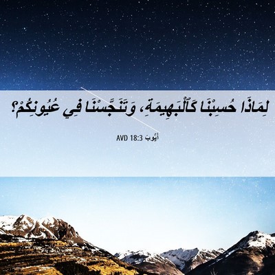 Picture 06 - أَيُّوبَ 18:3 AVD - لِمَاذَا حُسِبْنَا - Bible Verse Picture
