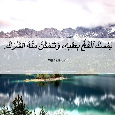 Picture 06 - أَيُّوبَ 18:9 AVD - يُمْسِكُ ٱلْفَخُّ - Bible Verse Picture