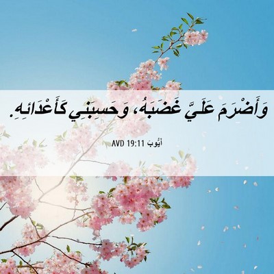 Picture 06 - أَيُّوبَ 19:11 AVD - وَأَضْرَمَ عَلَيَّ - Bible Verse Picture