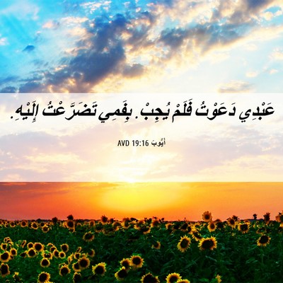 Picture 06 - أَيُّوبَ 19:16 AVD - عَبْدِي دَعَوْتُ فَلَمْ - Bible Verse Picture