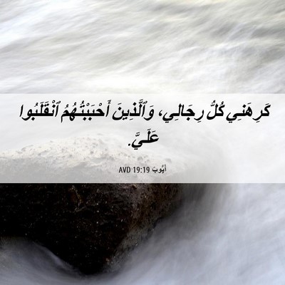 Picture 06 - أَيُّوبَ 19:19 AVD - كَرِهَنِي كُلُّ رِجَالِي، - Bible Verse Picture