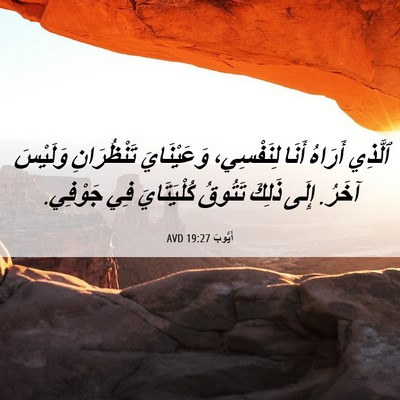 Picture 06 - أَيُّوبَ 19:27 AVD - ٱلَّذِي أَرَاهُ أَنَا - Bible Verse Picture