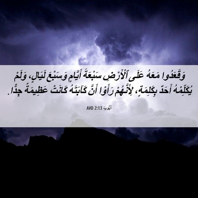 Picture 06 - أَيُّوبَ 2:13 AVD - وَقَعَدُوا مَعَهُ عَلَى - Bible Verse Picture