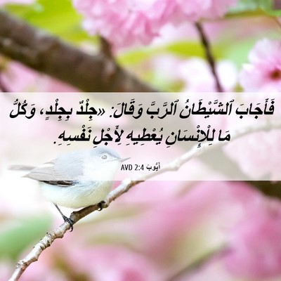 Picture 06 - أَيُّوبَ 2:4 AVD - فَأَجَابَ ٱلشَّيْطَانُ - Bible Verse Picture