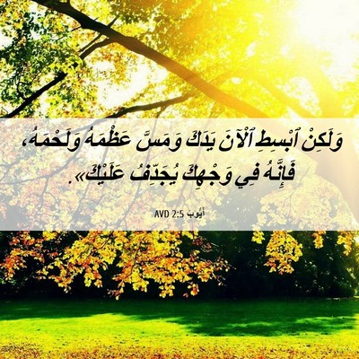 Picture 06 - أَيُّوبَ 2:5 AVD - وَلَكِنْ ٱبْسِطِ ٱلْآنَ - Bible Verse Picture