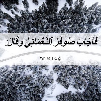 Picture 06 - أَيُّوبَ 20:1 AVD - فَأَجَابَ صُوفَرُ - Bible Verse Picture