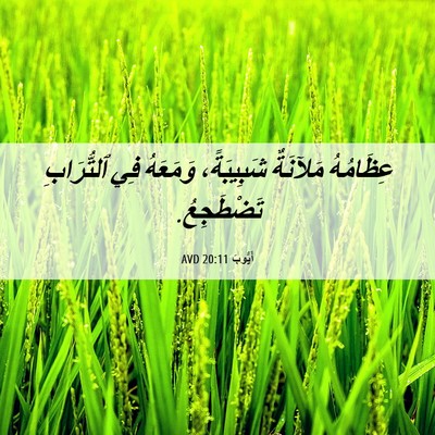Picture 06 - أَيُّوبَ 20:11 AVD - عِظَامُهُ مَلآنَةٌ - Bible Verse Picture