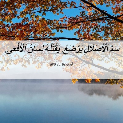 Picture 06 - أَيُّوبَ 20:16 AVD - سَمَّ ٱلْأَصْلَالِ - Bible Verse Picture