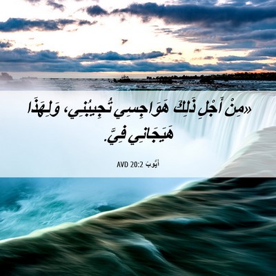 Picture 06 - أَيُّوبَ 20:2 AVD - «مِنْ أَجْلِ ذَلِكَ - Bible Verse Picture