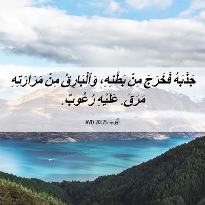Picture 06 - أَيُّوبَ 20:25 AVD - جَذَبَهُ فَخَرَجَ مِنْ - Bible Verse Picture