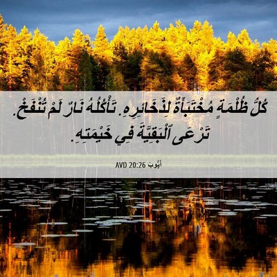 Picture 06 - أَيُّوبَ 20:26 AVD - كُلُّ ظُلْمَةٍ - Bible Verse Picture