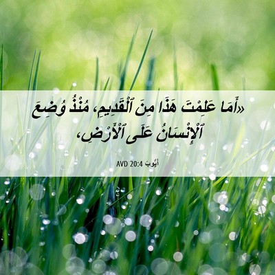 Picture 06 - أَيُّوبَ 20:4 AVD - «أَمَا عَلِمْتَ هَذَا مِنَ - Bible Verse Picture